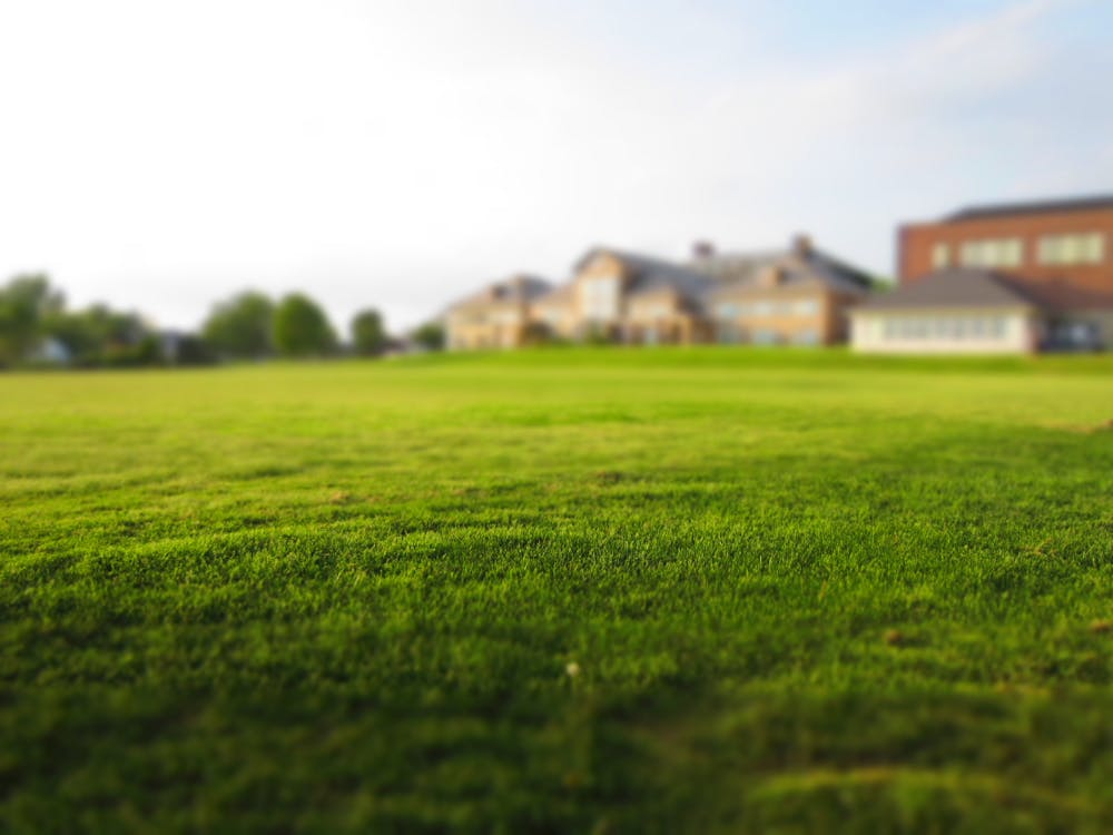 Lawn Mower for Uneven Terrain and Tall Grass - What to Choose?